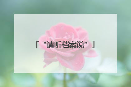 “请听档案说”