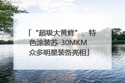 “超级大黄蜂”、特色涂装苏-30MKM 众多明星装备亮相