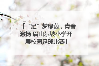 “足”梦绿茵，青春激扬 眉山东坡小学开展校园足球比赛