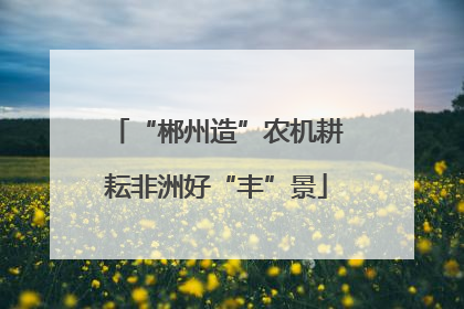 “郴州造”农机耕耘非洲好“丰”景