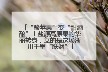 “酸苹果”变“甜酒酿”！盐源高原果的华丽转身，靠的是这场浙川千里“联姻”