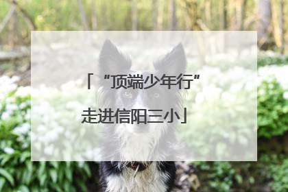 “顶端少年行”走进信阳三小