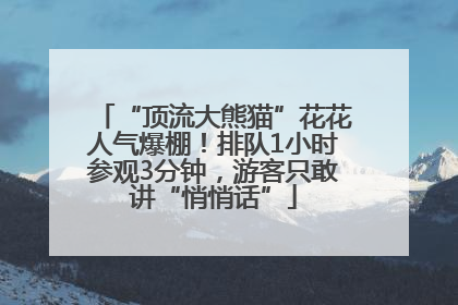 “顶流大熊猫”花花人气爆棚！排队1小时参观3分钟，游客只敢讲“悄悄话”