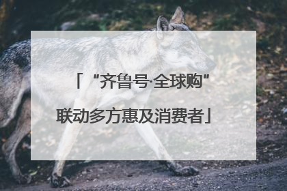 “齐鲁号·全球购”联动多方惠及消费者