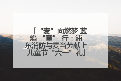 “麦”向燃梦 蓝焰 “童” 行：浦东消防与麦当劳献上儿童节“六一”礼
