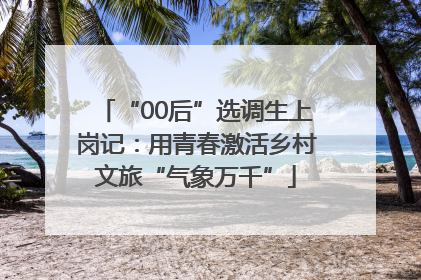 “00后”选调生上岗记：用青春激活乡村文旅“气象万千”