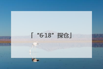 “6·18”探仓