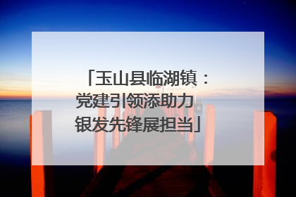 玉山县临湖镇：党建引领添助力 银发先锋展担当