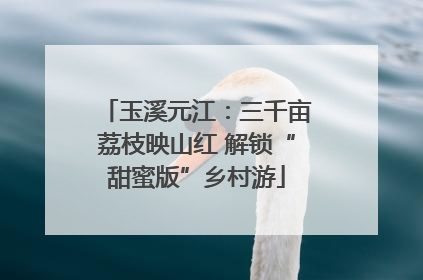玉溪元江：三千亩荔枝映山红 解锁“甜蜜版”乡村游
