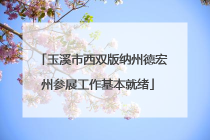 玉溪市西双版纳州德宏州参展工作基本就绪