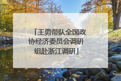 王勇带队全国政协经济委员会调研组赴浙江调研