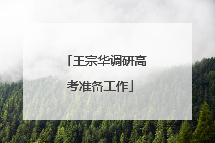 王宗华调研高考准备工作