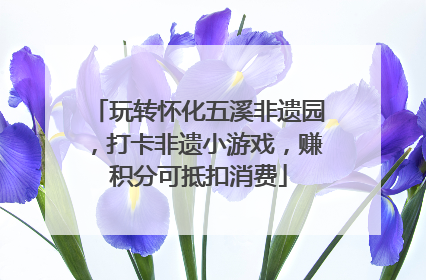 玩转怀化五溪非遗园，打卡非遗小游戏，赚积分可抵扣消费