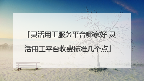 灵活用工服务平台哪家好 灵活用工平台收费标准几个点