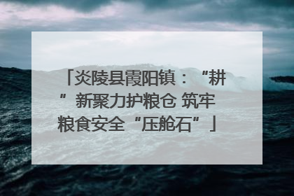 炎陵县霞阳镇：“耕”新聚力护粮仓 筑牢粮食安全“压舱石”