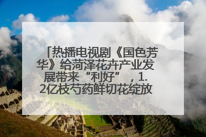 热播电视剧《国色芳华》给菏泽花卉产业发展带来“利好”，1.2亿枝芍药鲜切花绽放“国色芳华”