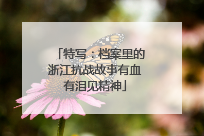 特写：档案里的浙江抗战故事有血有泪见精神