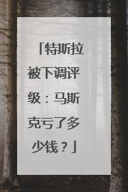 特斯拉被下调评级：马斯克亏了多少钱？