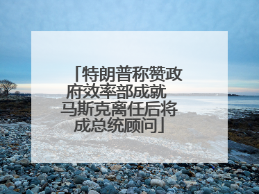 特朗普称赞政府效率部成就 马斯克离任后将成总统顾问