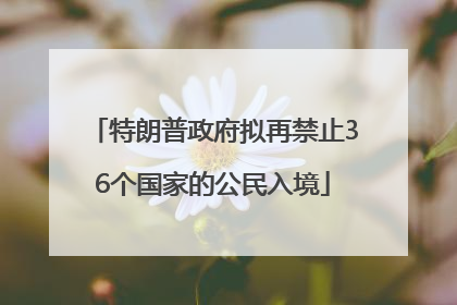 特朗普政府拟再禁止36个国家的公民入境
