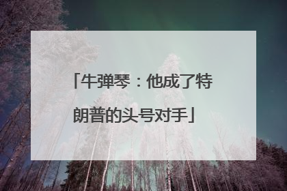 牛弹琴：他成了特朗普的头号对手