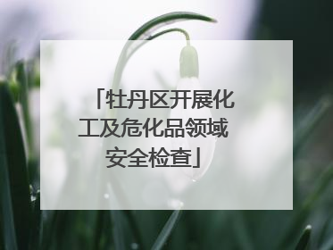 牡丹区开展化工及危化品领域安全检查
