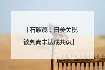 石破茂：日美关税谈判尚未达成共识