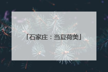 石家庄：当夏荷美