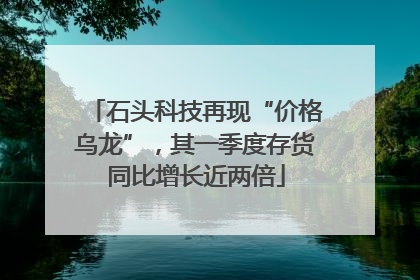 石头科技再现“价格乌龙”，其一季度存货同比增长近两倍