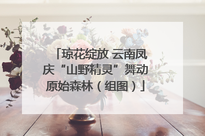 琼花绽放 云南凤庆“山野精灵”舞动原始森林（组图）