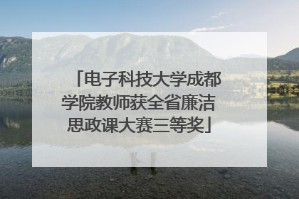 电子科技大学成都学院教师获全省廉洁思政课大赛三等奖
