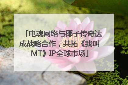 电魂网络与椰子传奇达成战略合作，共拓《我叫MT》IP全球市场