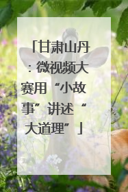 甘肃山丹：微视频大赛用“小故事”讲述“大道理”