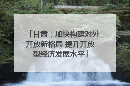 甘肃：加快构建对外开放新格局 提升开放型经济发展水平