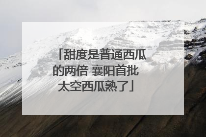 甜度是普通西瓜的两倍 襄阳首批太空西瓜熟了