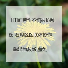田间劳作不慎被蛇咬伤 石峰区医联体协作跑出急救新速度