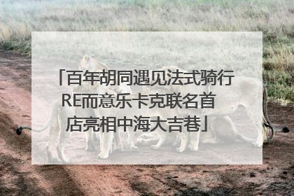 百年胡同遇见法式骑行 RE而意乐卡克联名首店亮相中海大吉巷