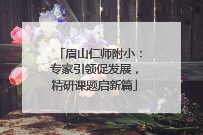 眉山仁师附小：专家引领促发展，精研课题启新篇