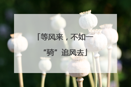 等风来，不如一“骑”追风去