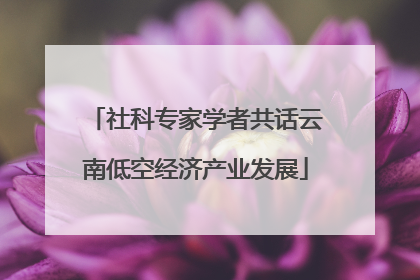 社科专家学者共话云南低空经济产业发展
