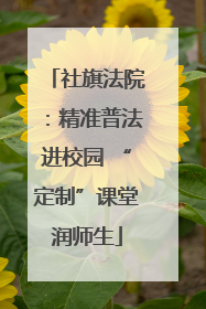 社旗法院：精准普法进校园 “定制”课堂润师生