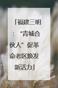 福建三明：“青城合伙人”促革命老区焕发新活力