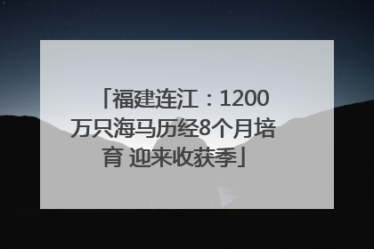福建连江：1200万只海马历经8个月培育 迎来收获季