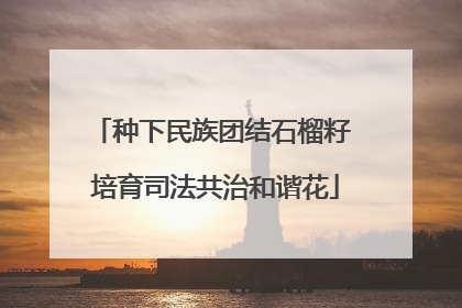 种下民族团结石榴籽 培育司法共治和谐花