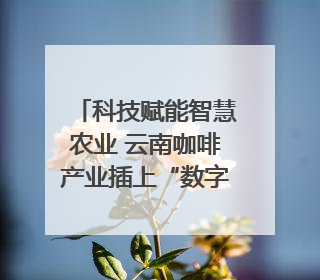 科技赋能智慧农业 云南咖啡产业插上“数字翅膀”
