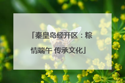 秦皇岛经开区：粽情端午 传承文化