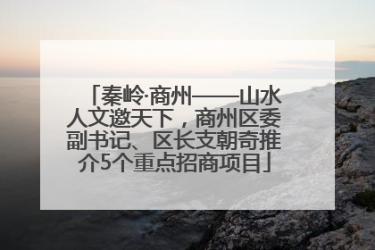 秦岭·商州——山水人文邀天下，商州区委副书记、区长支朝奇推介5个重点招商项目