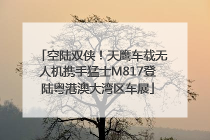 空陆双侠！天鹰车载无人机携手猛士M817登陆粤港澳大湾区车展