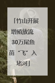 竹山开展增殖放流 30万尾鱼苗“飞”入堵河