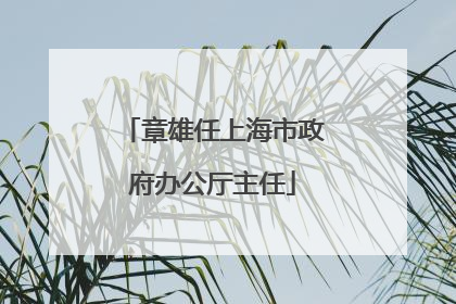 章雄任上海市政府办公厅主任